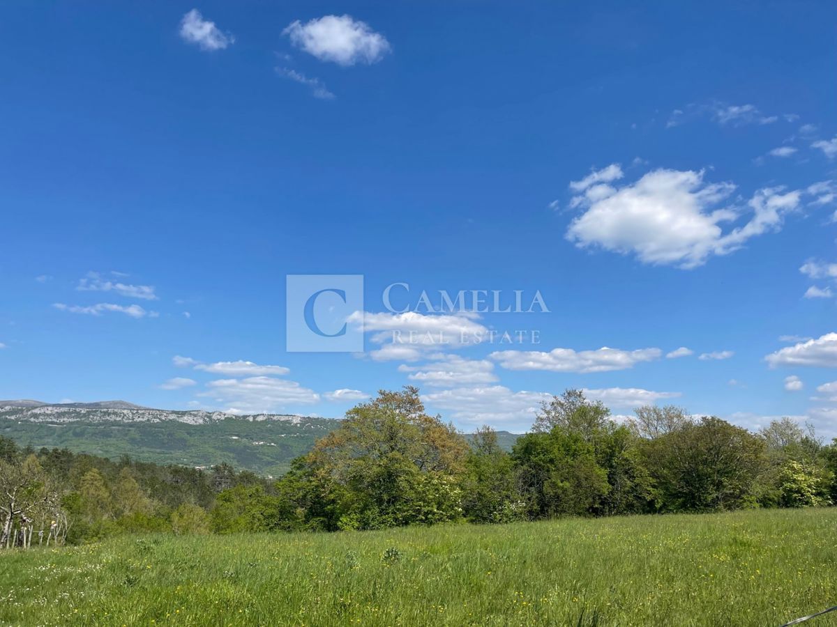 Zemljišče Buzet, 3.755m2