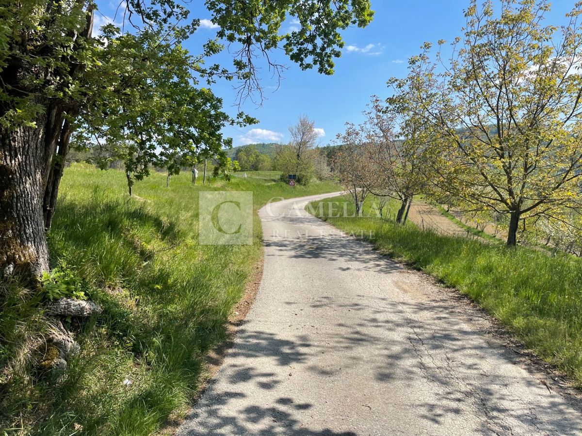 Zemljišče Buzet, 3.755m2