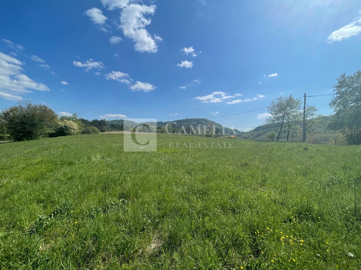 Zemljišče Buzet, 3.755m2