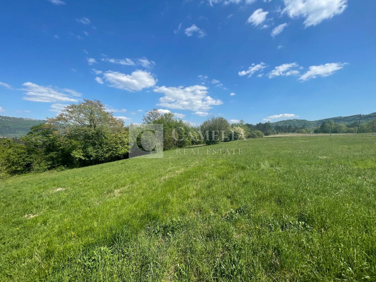 Zemljišče Buzet, 3.755m2