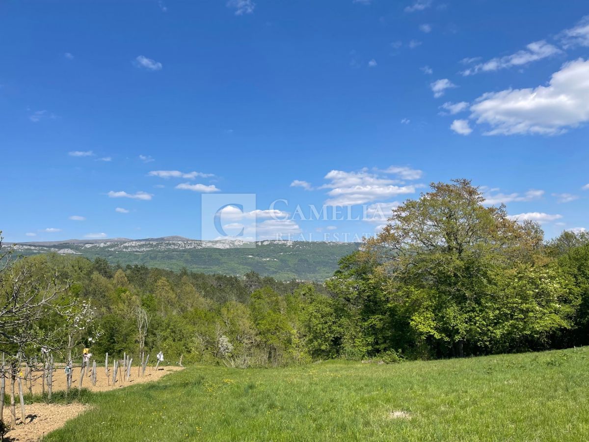 Zemljišče Buzet, 3.755m2