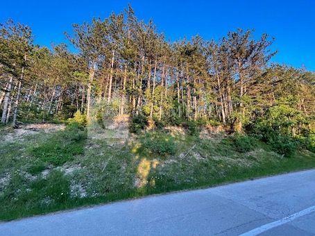 Zemljišče Krušvari, Buzet, 20.000m2