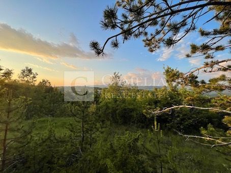 Zemljišče Krušvari, Buzet, 20.000m2