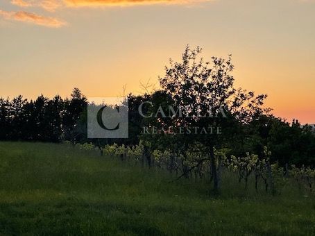 Zemljišče Krušvari, Buzet, 20.000m2