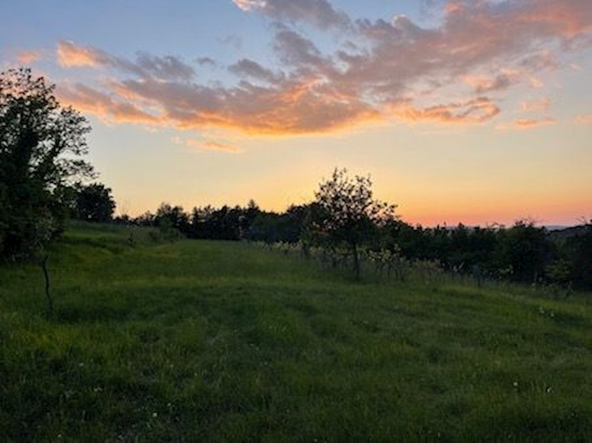 Zemljišče Krušvari, Buzet, 20.000m2