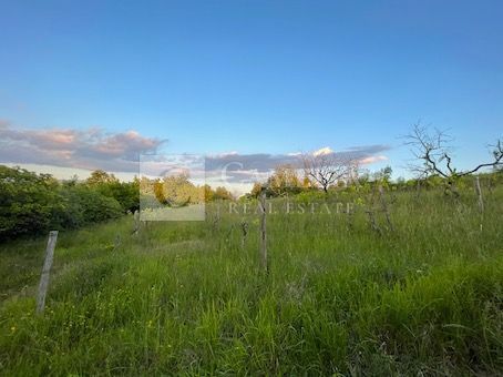 Zemljišče Krušvari, Buzet, 20.000m2