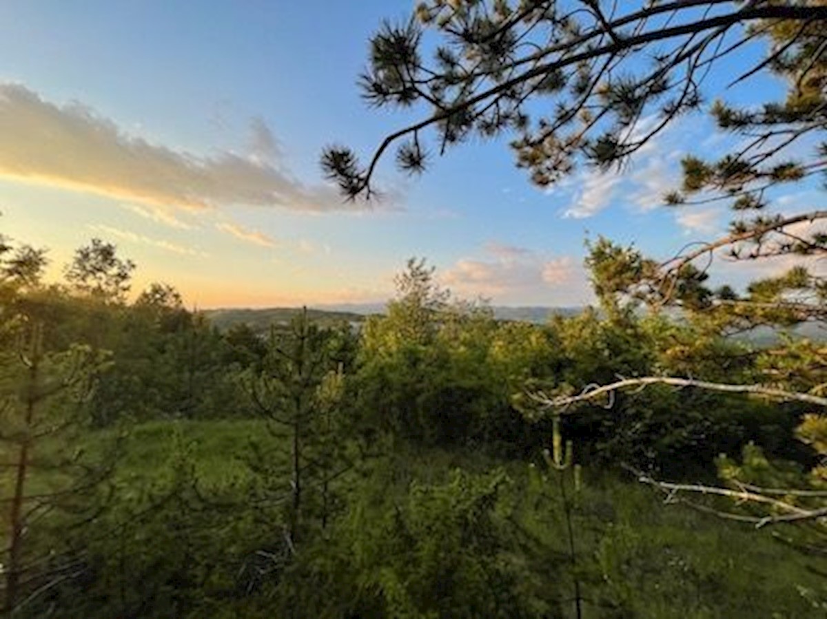 Zemljišče Krušvari, Buzet, 20.000m2