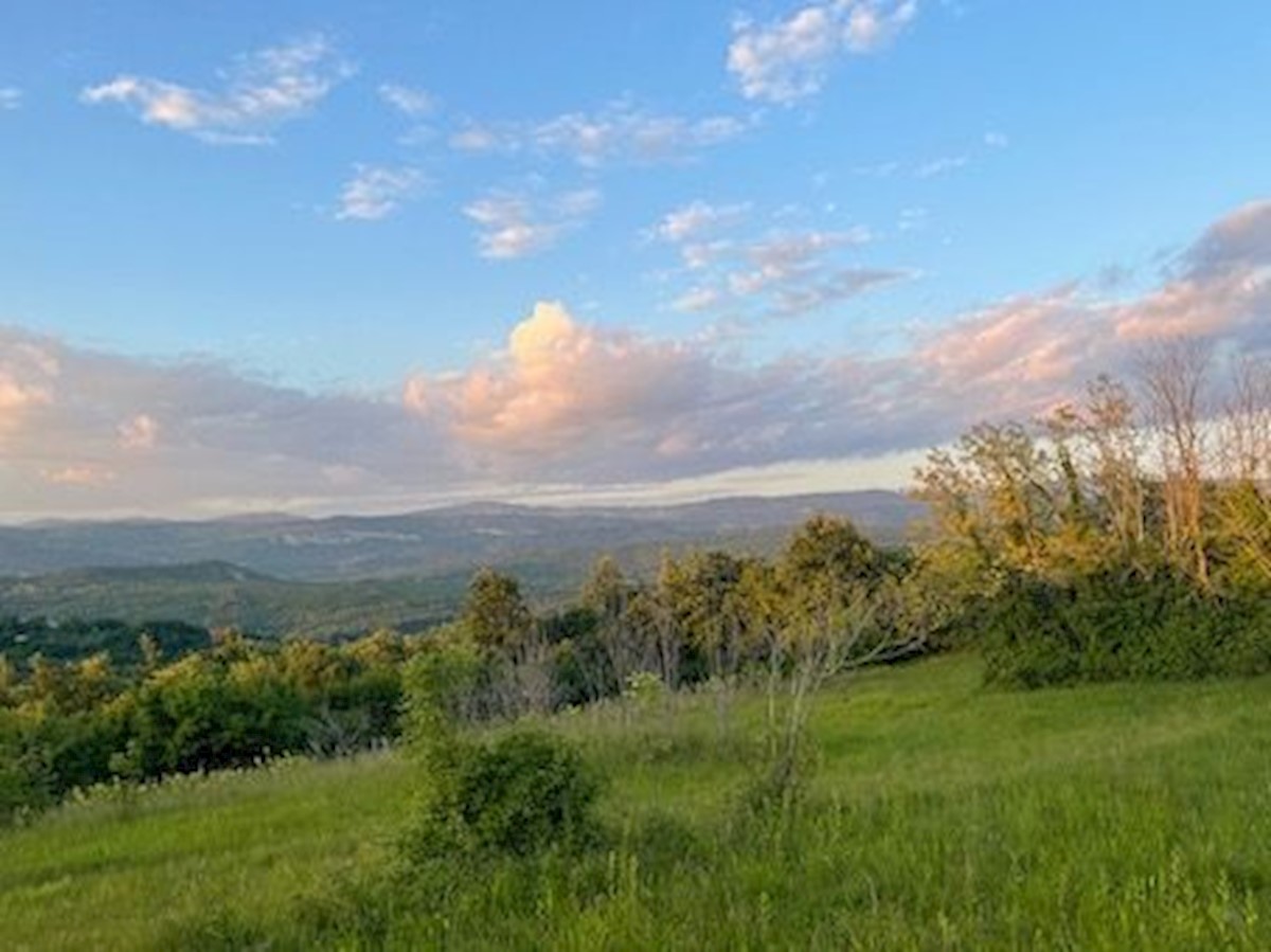 Zemljišče Krušvari, Buzet, 20.000m2