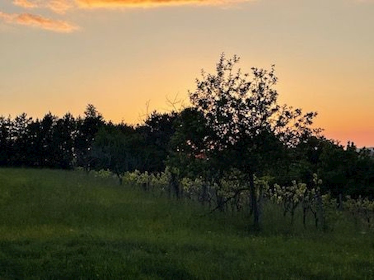 Zemljišče Krušvari, Buzet, 20.000m2