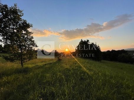 Zemljišče Krušvari, Buzet, 20.000m2