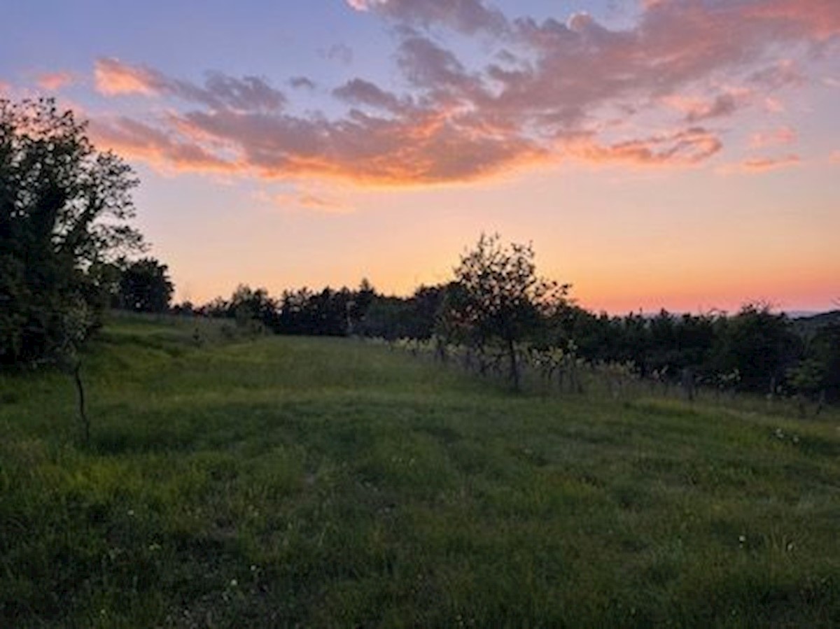 Zemljišče Krušvari, Buzet, 20.000m2