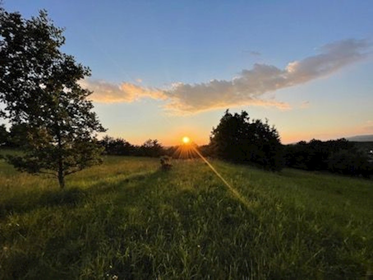 Zemljišče Krušvari, Buzet, 20.000m2