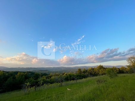 Zemljišče Krušvari, Buzet, 20.000m2
