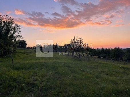Zemljišče Krušvari, Buzet, 20.000m2