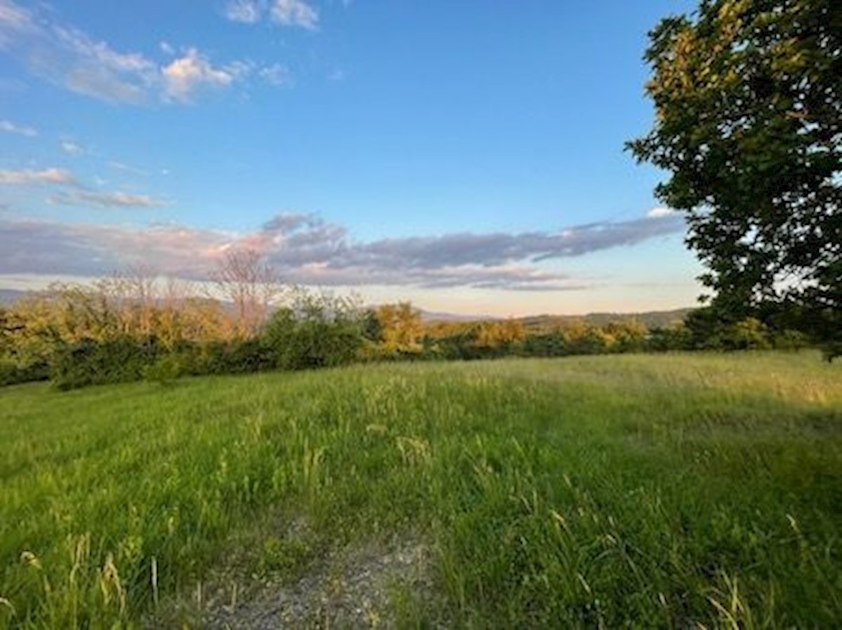 Zemljišče Krušvari, Buzet, 20.000m2