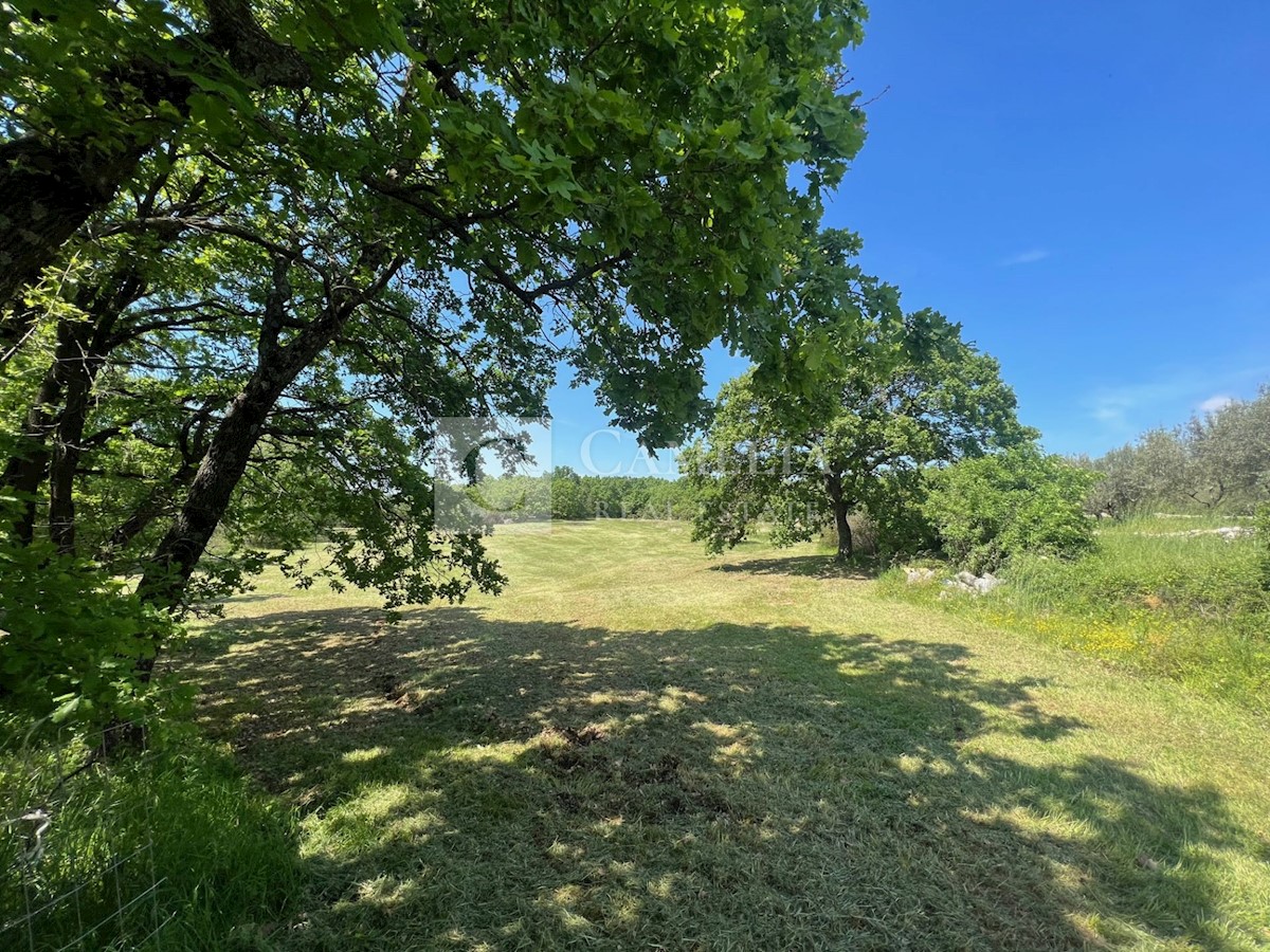 Zemljišče Barban, 6.700m2