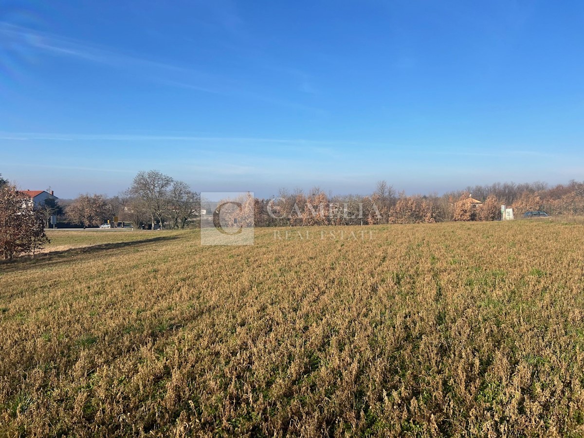 Zemljišče Zabrežani, Pazin - Okolica, 9.500m2