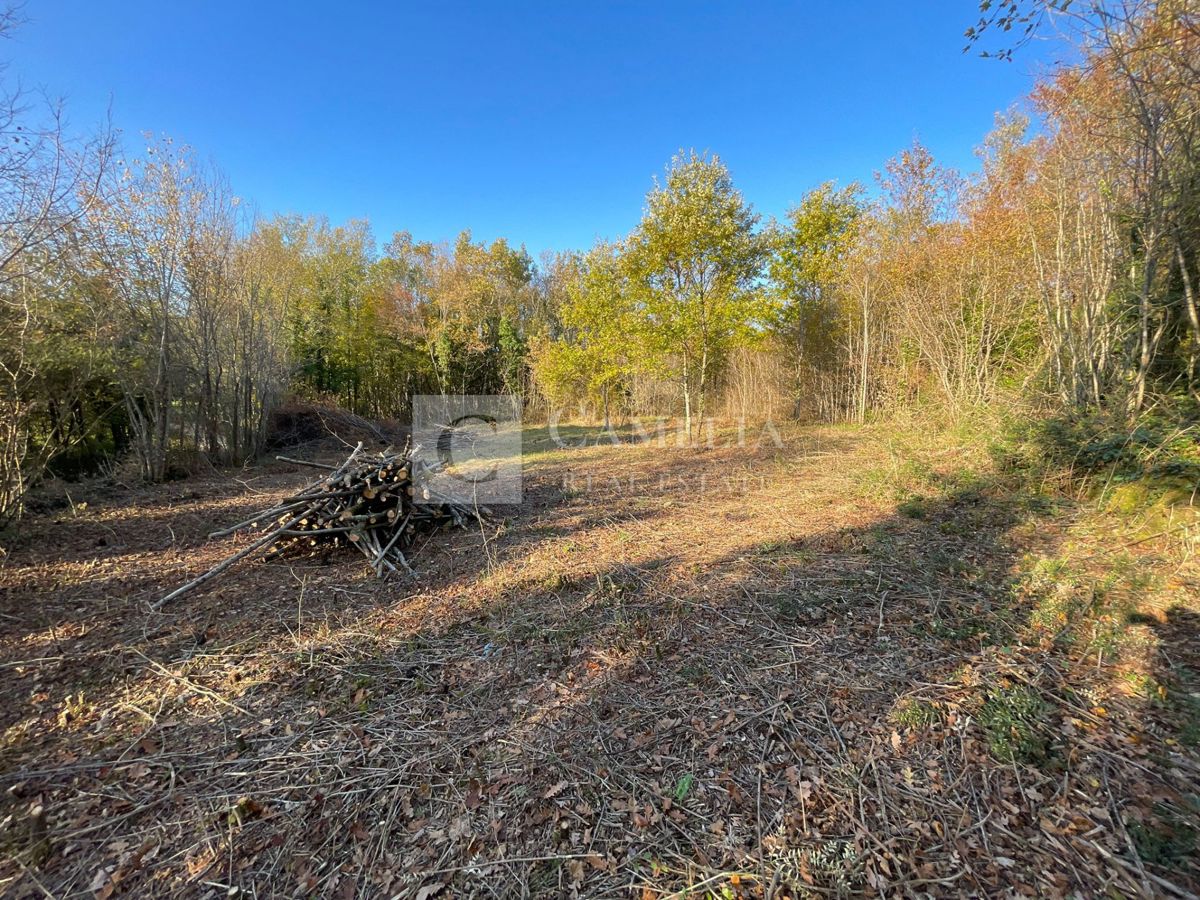 Zemljišče Sovinjak, Buzet, 1.381m2