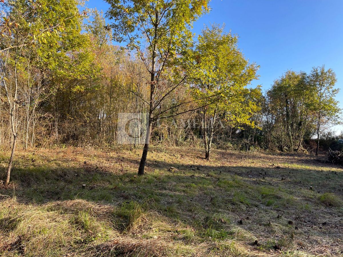 Zemljišče Sovinjak, Buzet, 1.381m2