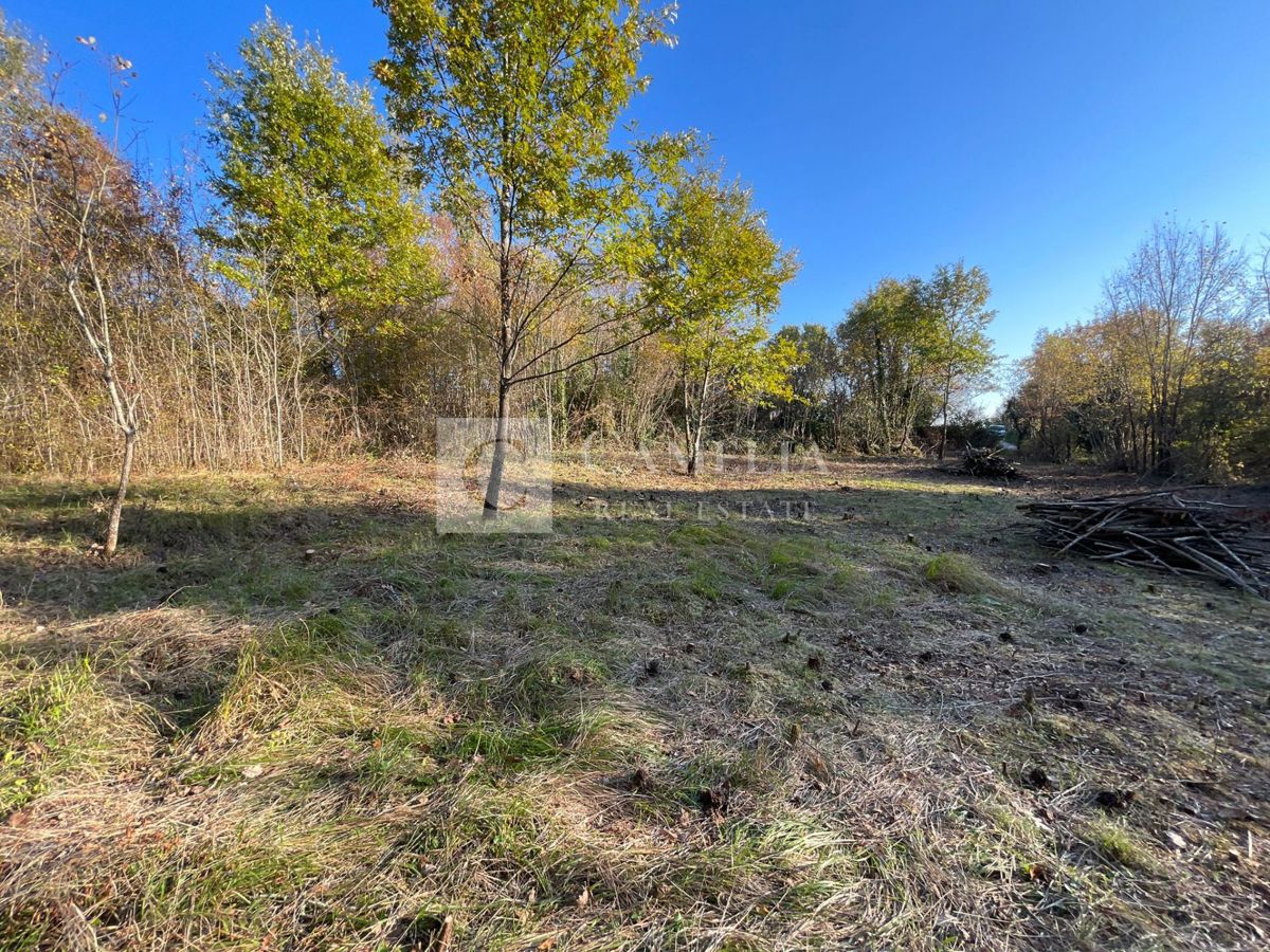 Zemljišče Sovinjak, Buzet, 1.381m2