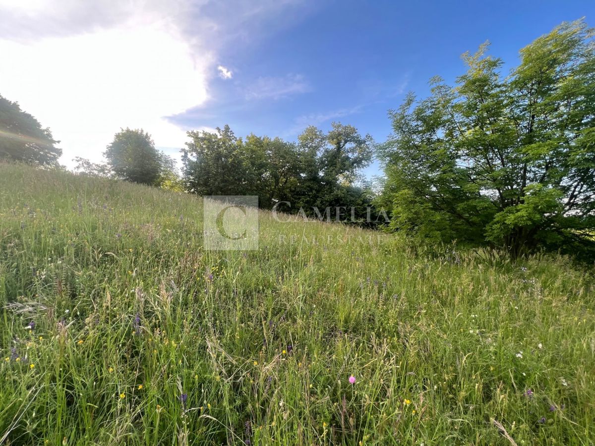 Zemljišče Karojba, 10.000m2