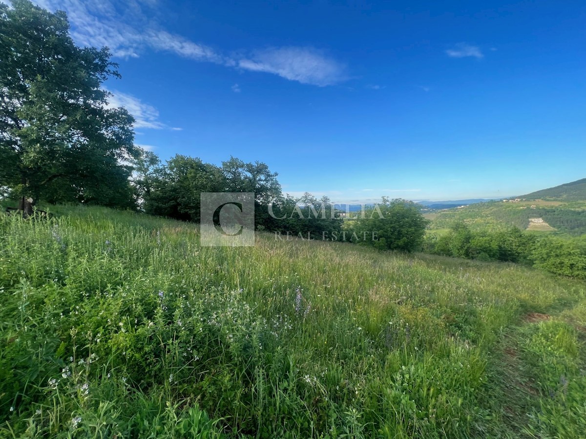 Zemljišče Karojba, 10.000m2