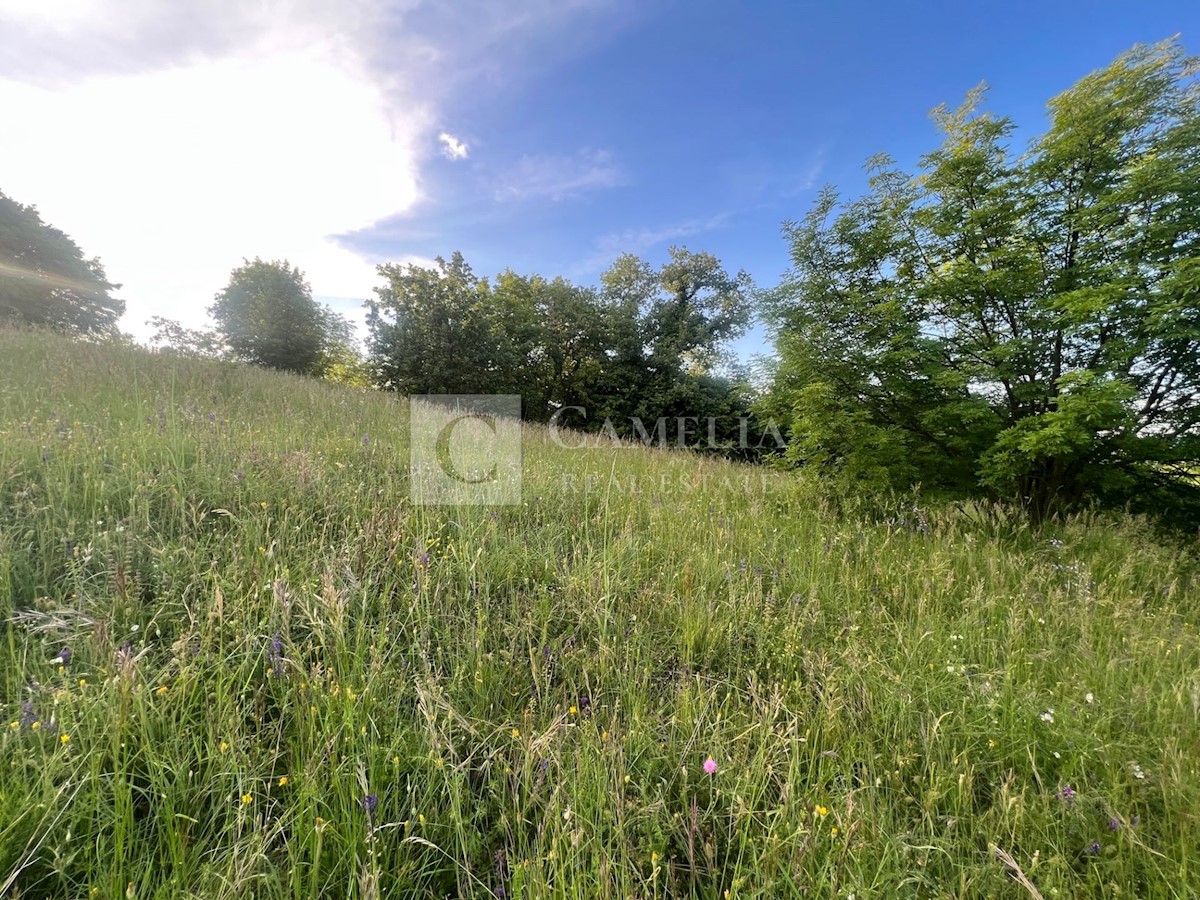 Zemljišče Karojba, 10.000m2