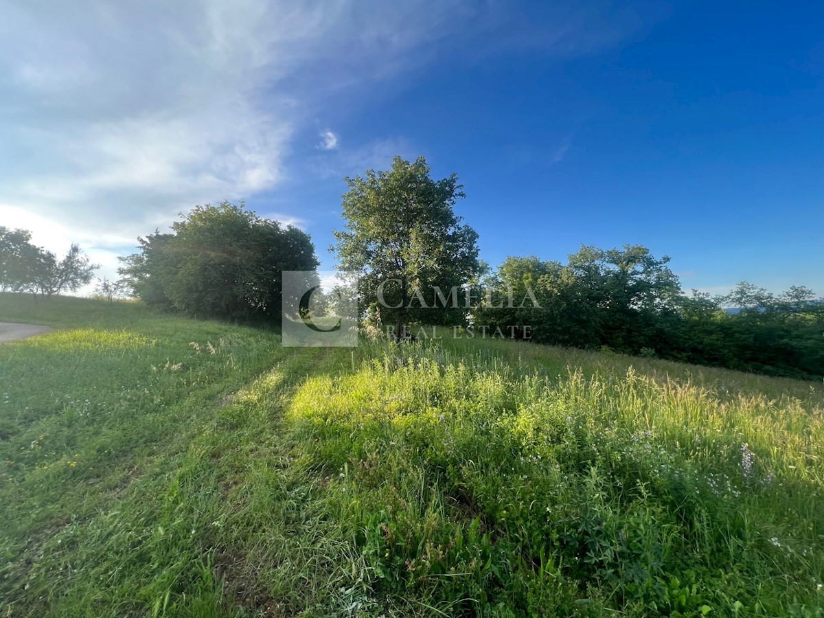 Zemljišče Karojba, 10.000m2