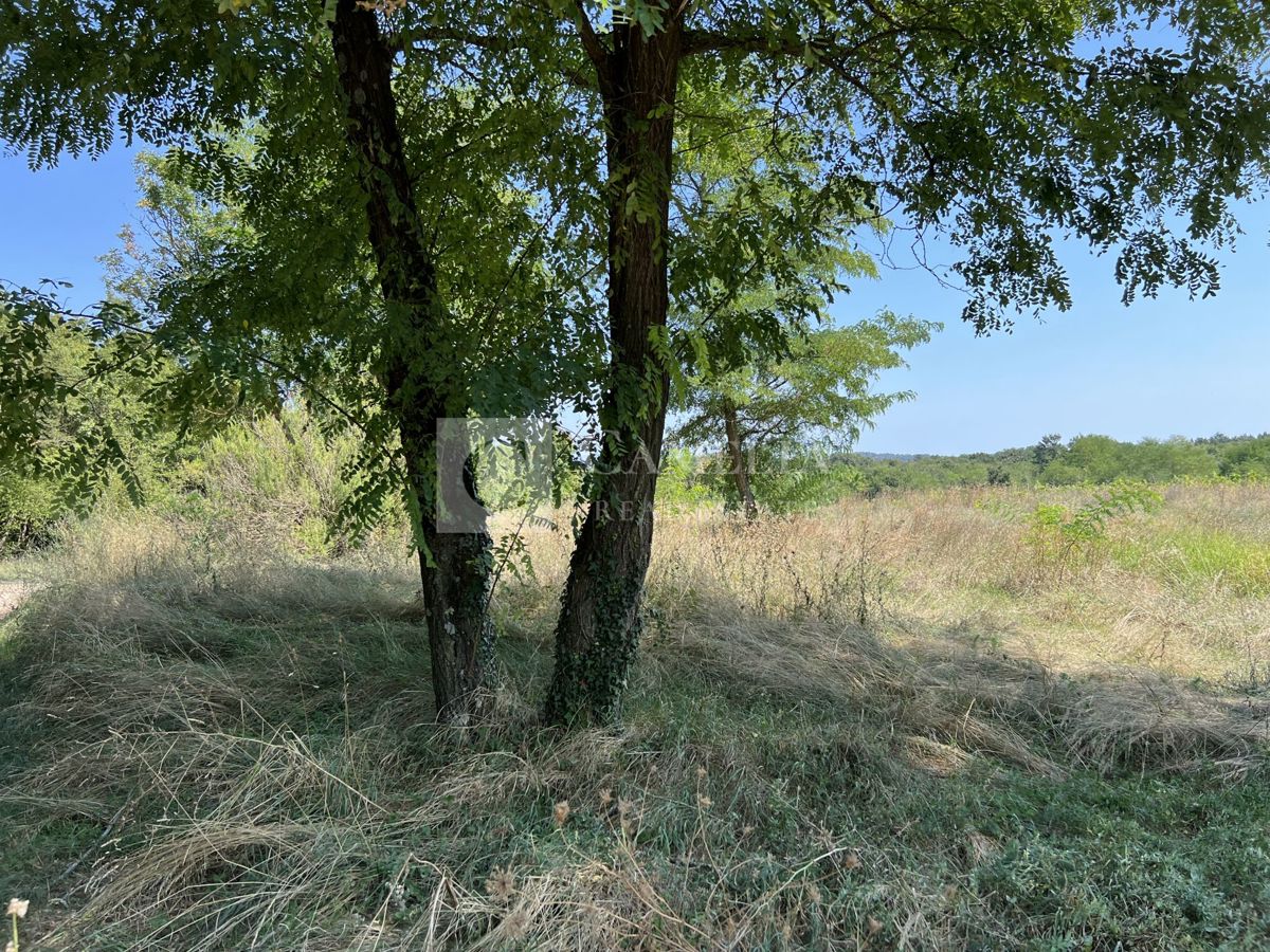 Zemljišče Sveti Petar u Šumi, Sveti Petar U Šumi, 1.975m2