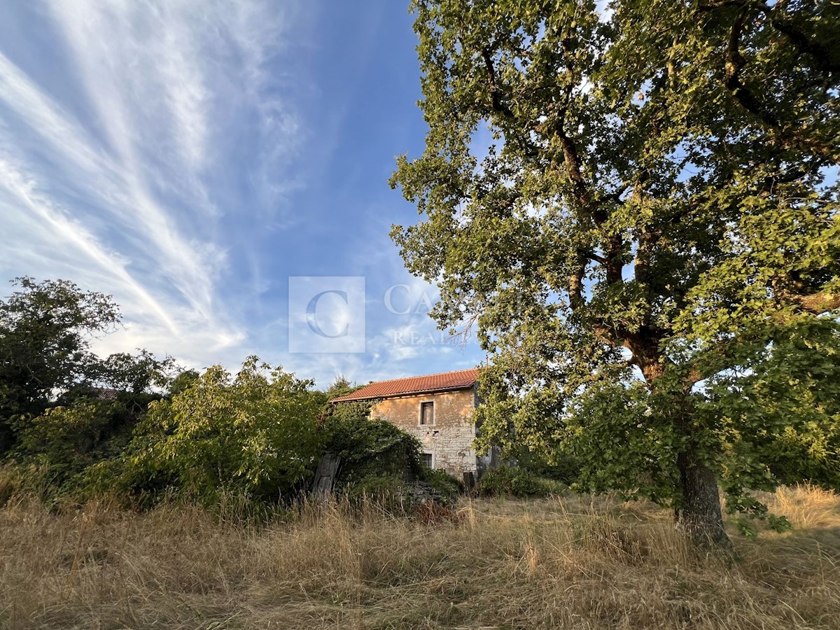 Zemljišče Oprtalj, 4.500m2