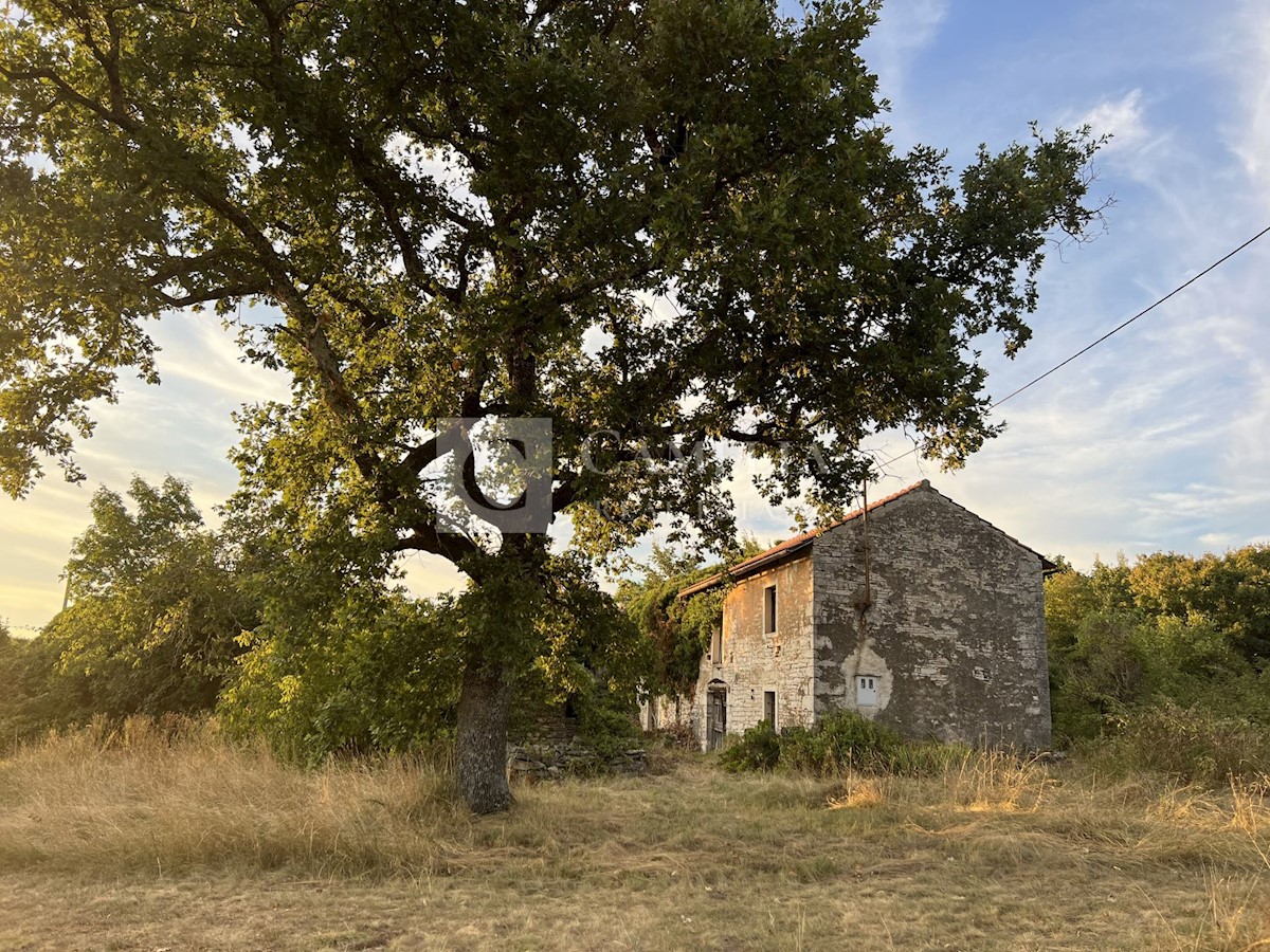 Zemljišče Oprtalj, 4.500m2