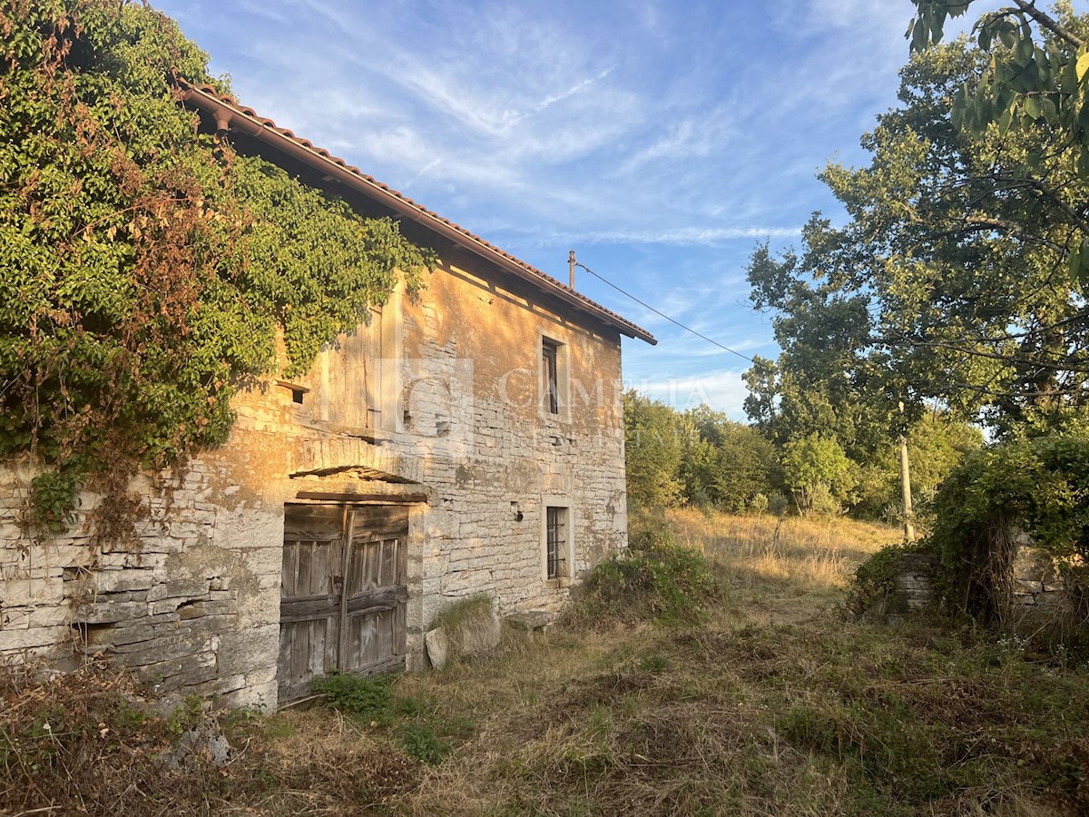 Zemljišče Oprtalj, 4.500m2