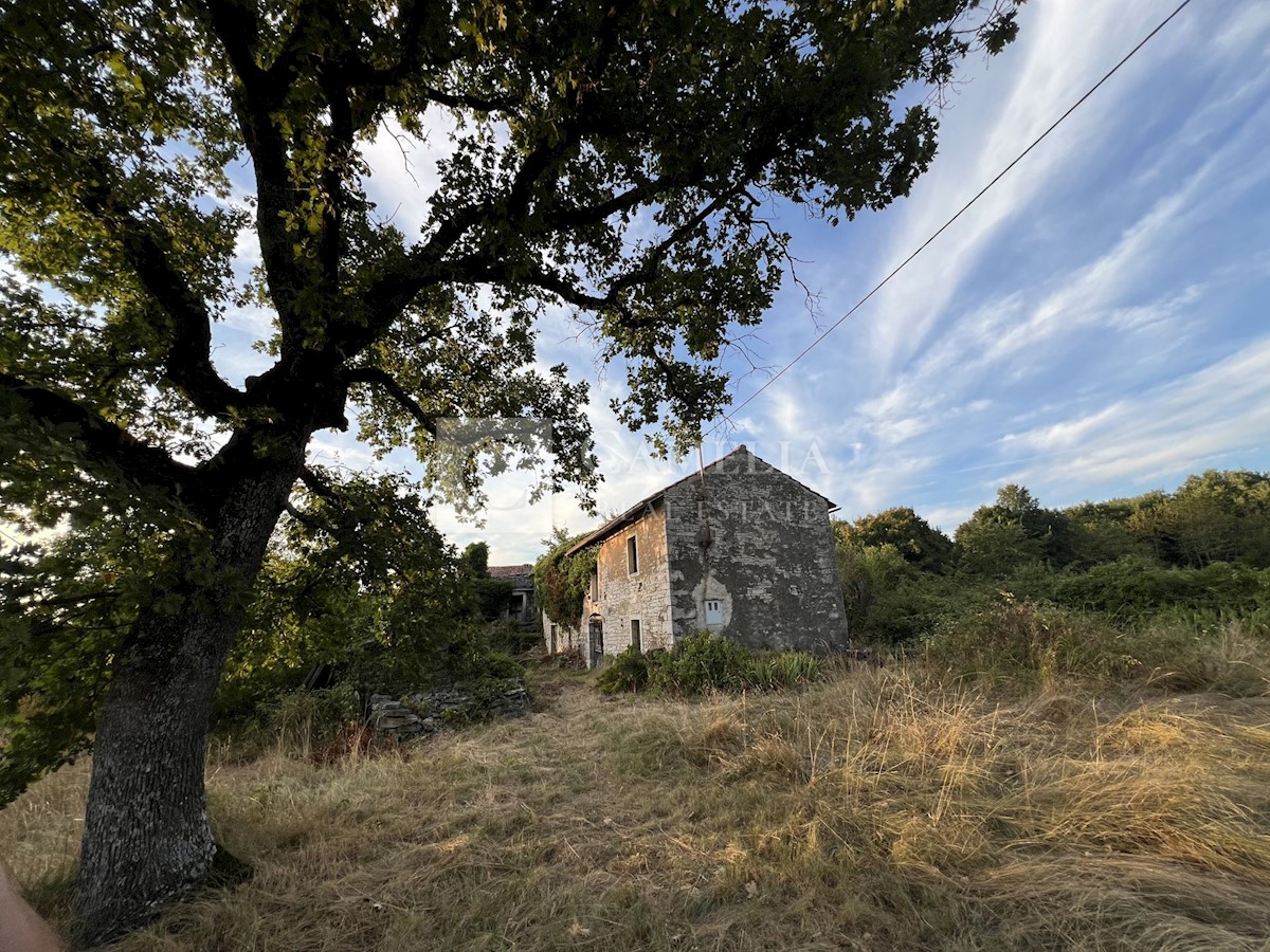 Zemljišče Oprtalj, 4.500m2