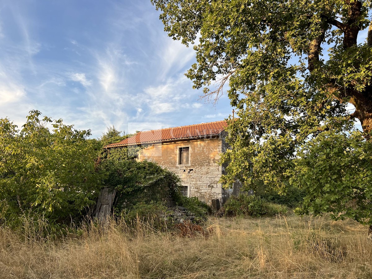 Zemljišče Oprtalj, 4.500m2