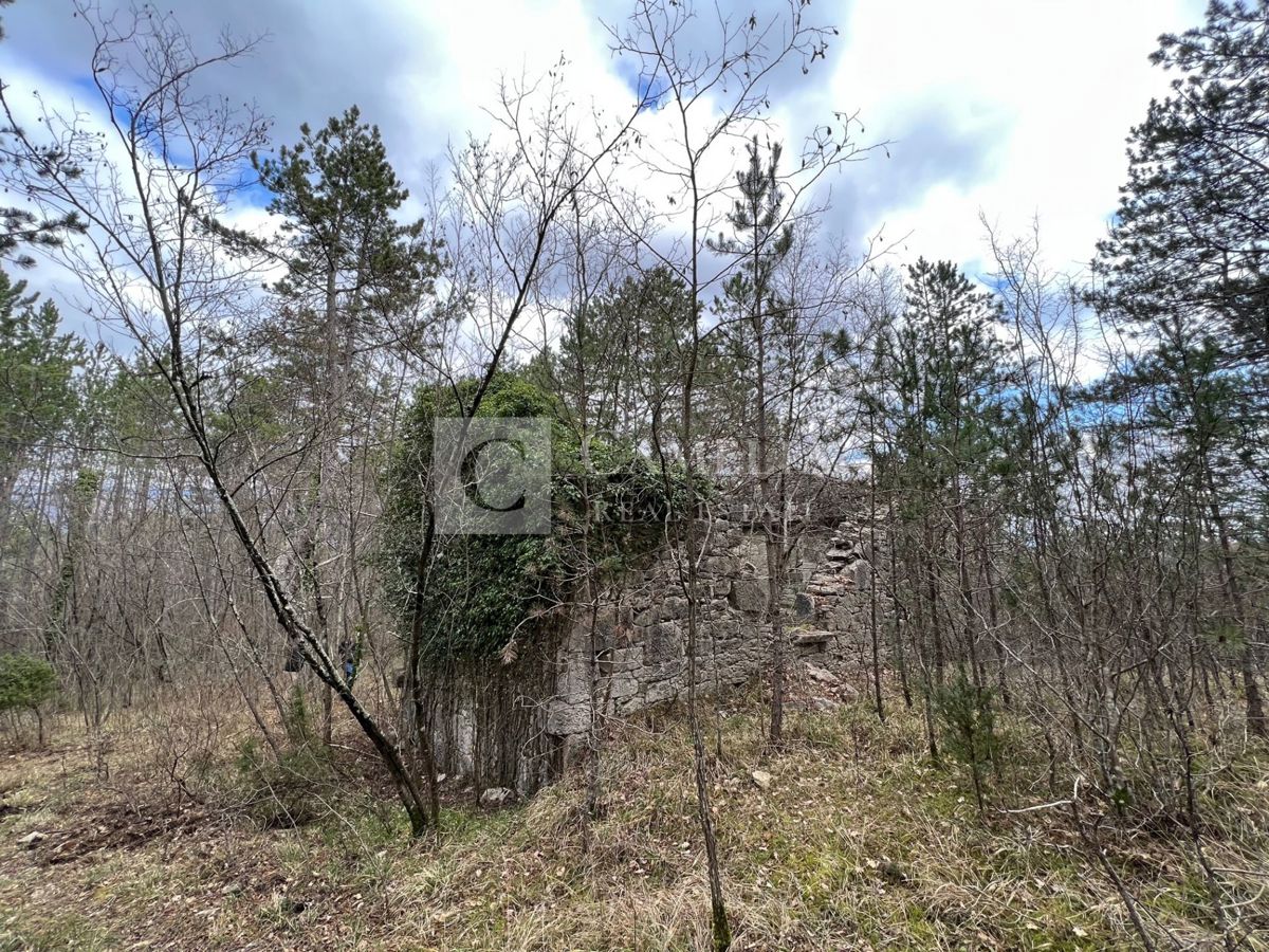 Zemljišče Buzet, 82.500m2