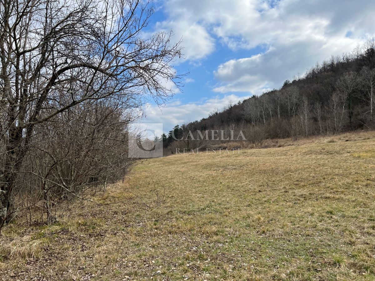 Zemljišče Buzet, 82.500m2