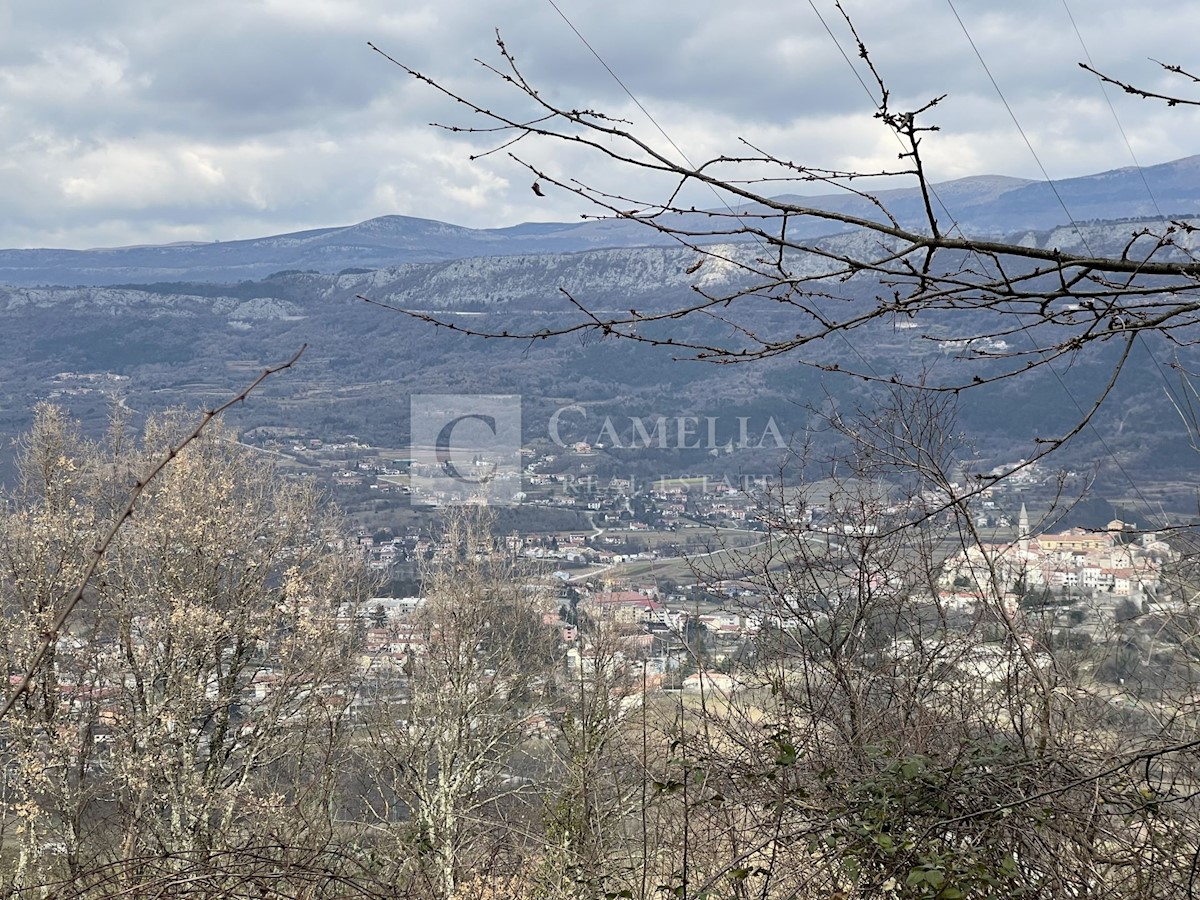 Zemljišče Buzet, 82.500m2