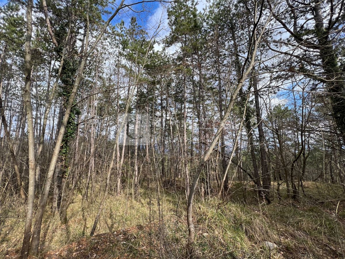 Zemljišče Buzet, 82.500m2