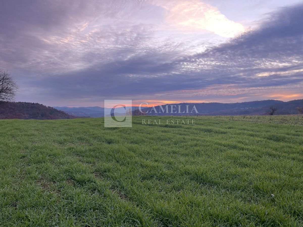 Zemljišče Prodani, Buzet, 2.400m2