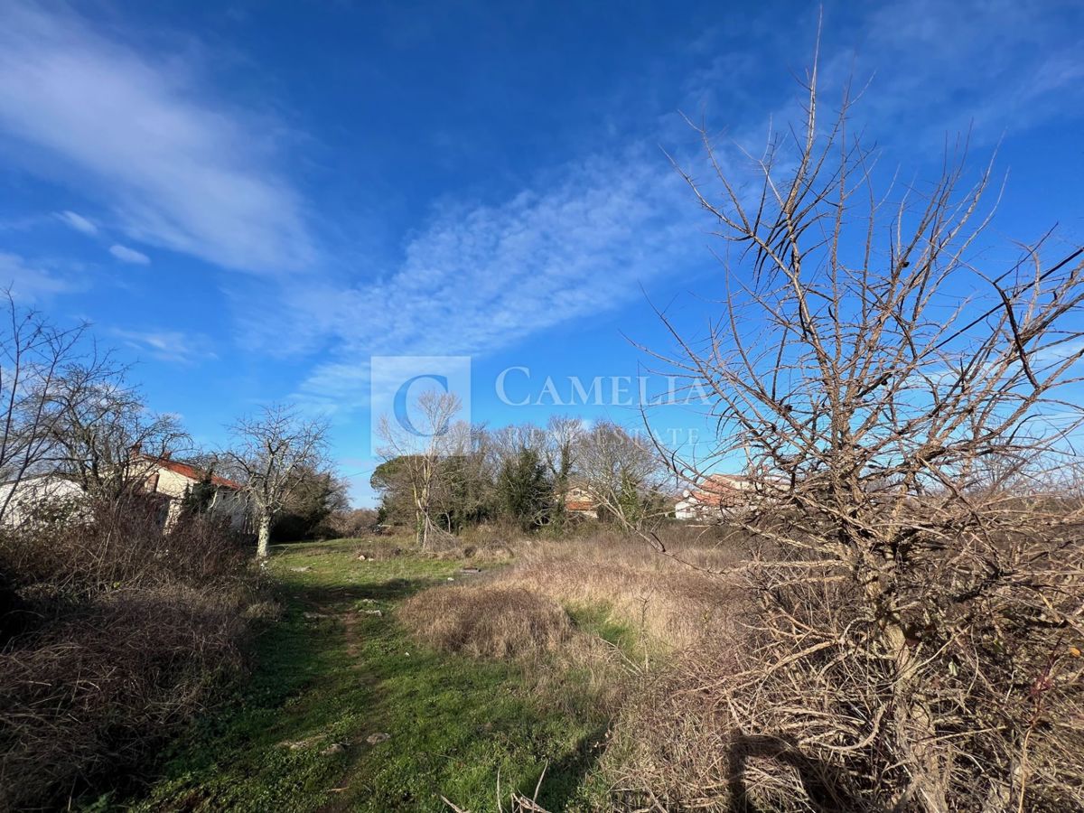 Zemljišče Baderna, Poreč, 3.900m2