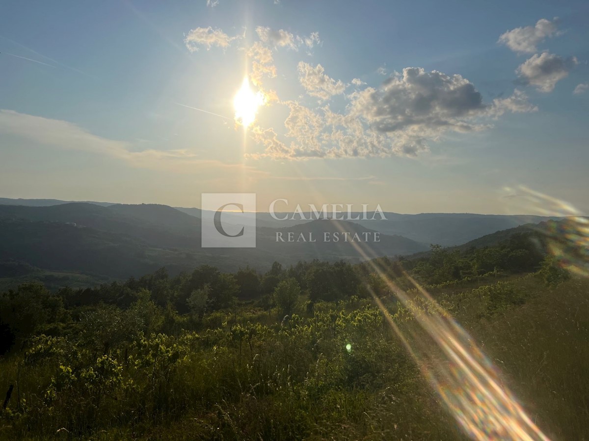 Zemljišče Zamask, Pazin - Okolica, 3.050m2