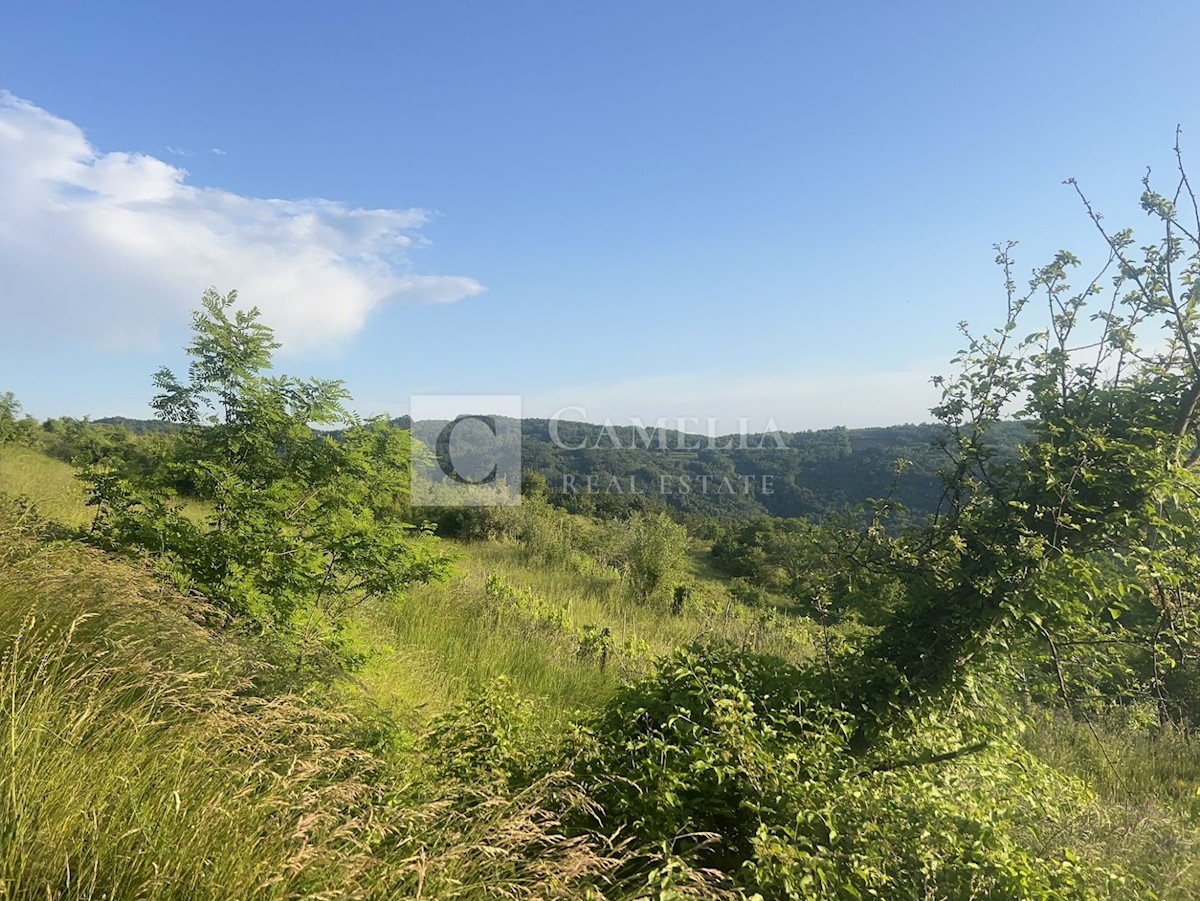 Zemljišče Zamask, Pazin - Okolica, 3.050m2