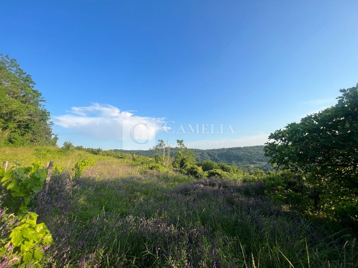 Zemljišče Zamask, Pazin - Okolica, 3.050m2