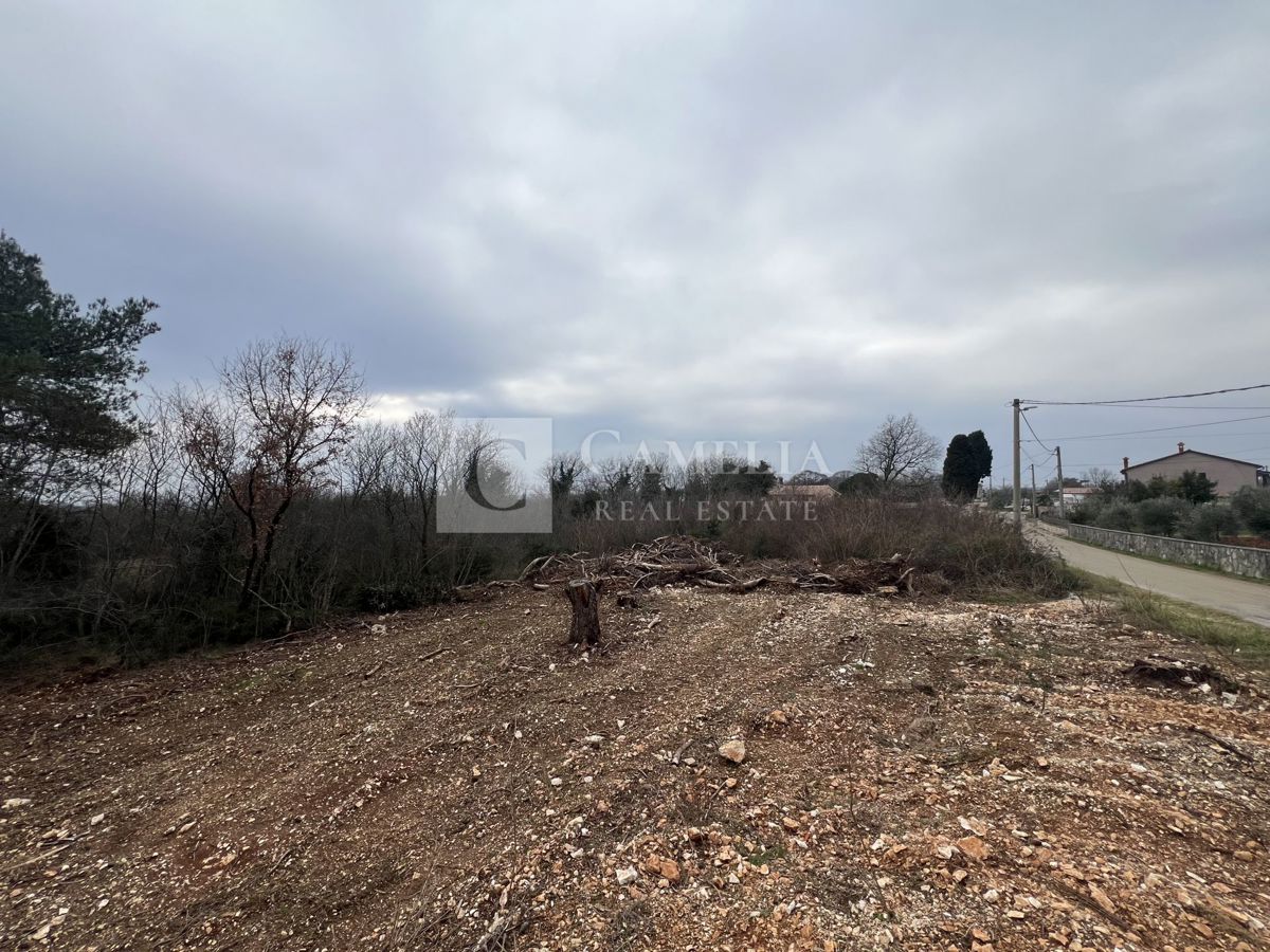 Zemljišče Rebići, Barban, 1.032m2