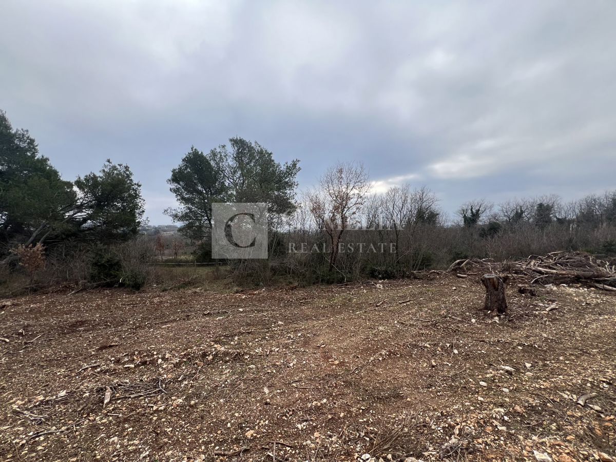 Zemljišče Rebići, Barban, 1.032m2