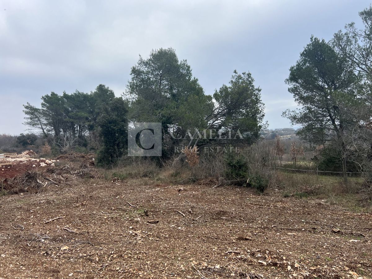 Zemljišče Rebići, Barban, 1.032m2