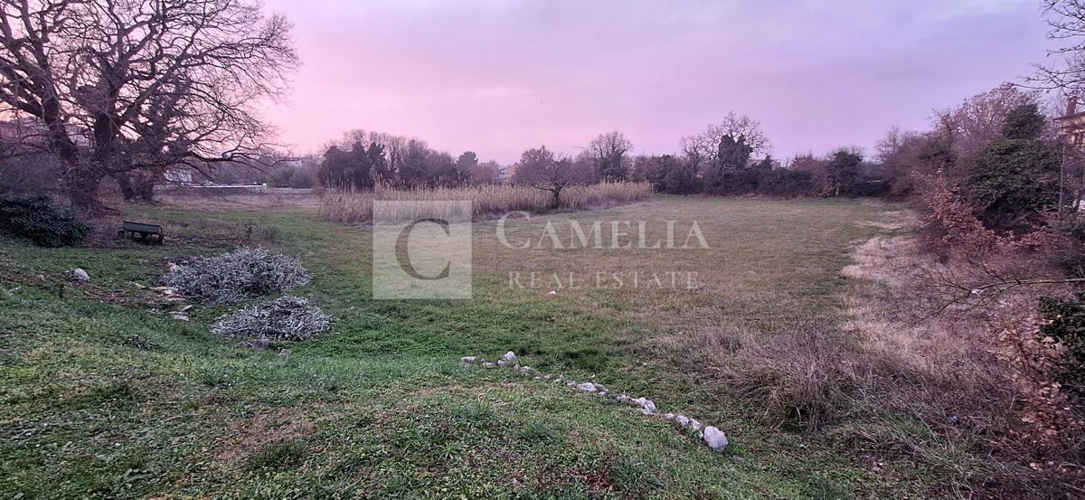 Zemljišče Novigrad, 3.500m2