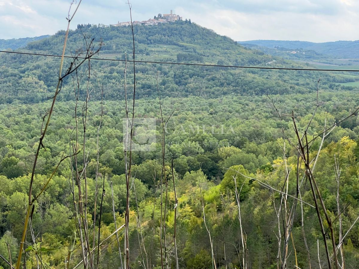 Hiša Golubići, Oprtalj, 80m2