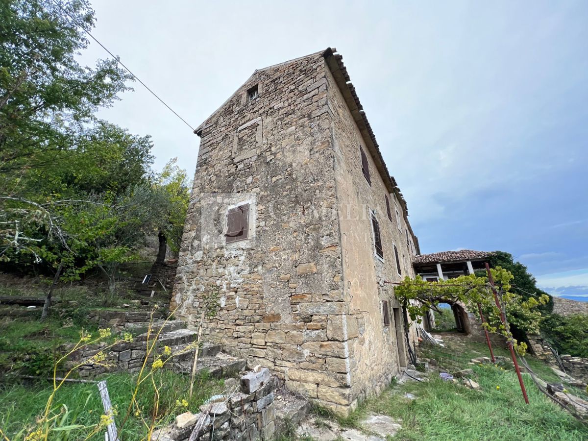 Hiša Golubići, Oprtalj, 80m2