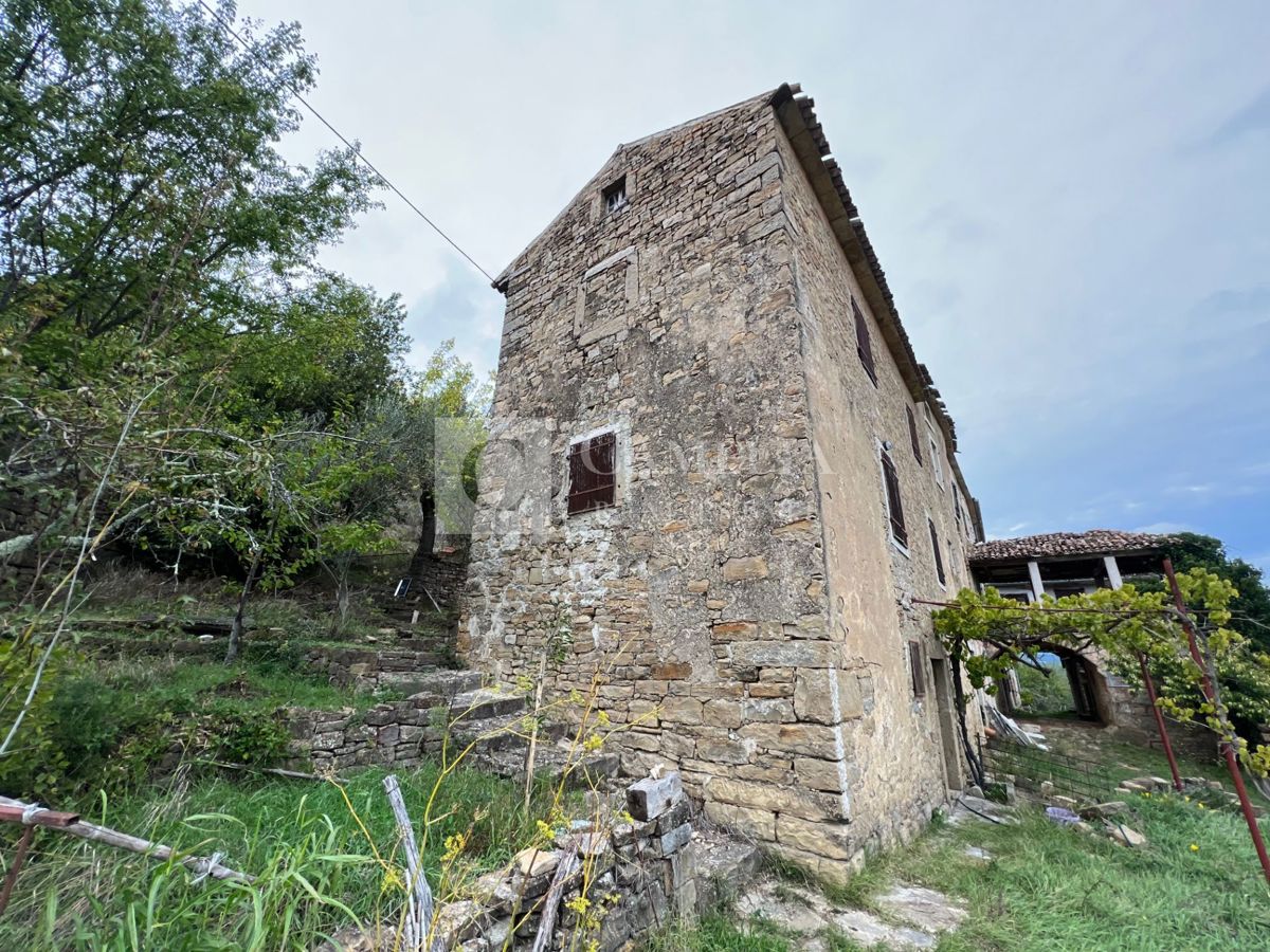 Hiša Golubići, Oprtalj, 80m2